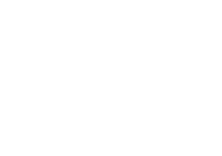 burberry symbol horse